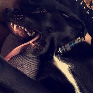 Meet your Posher, Allison